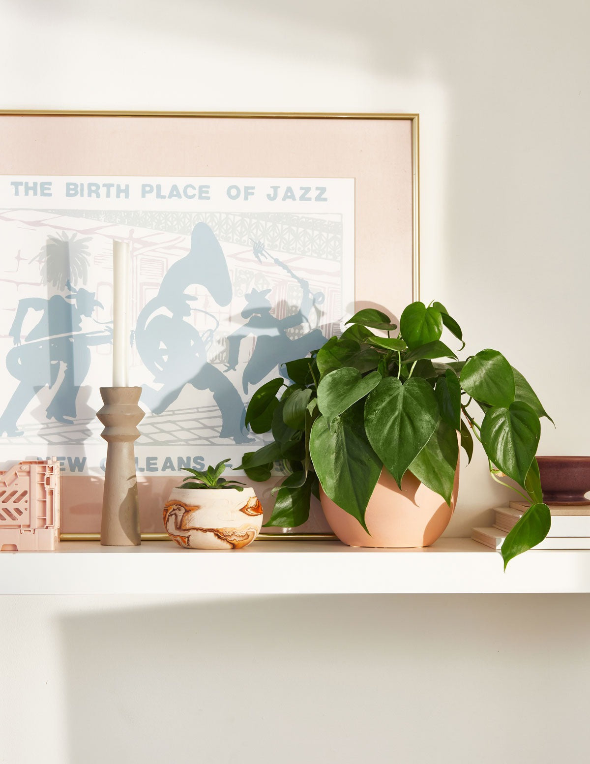 Heartleaf Philodendron Hanging Basket