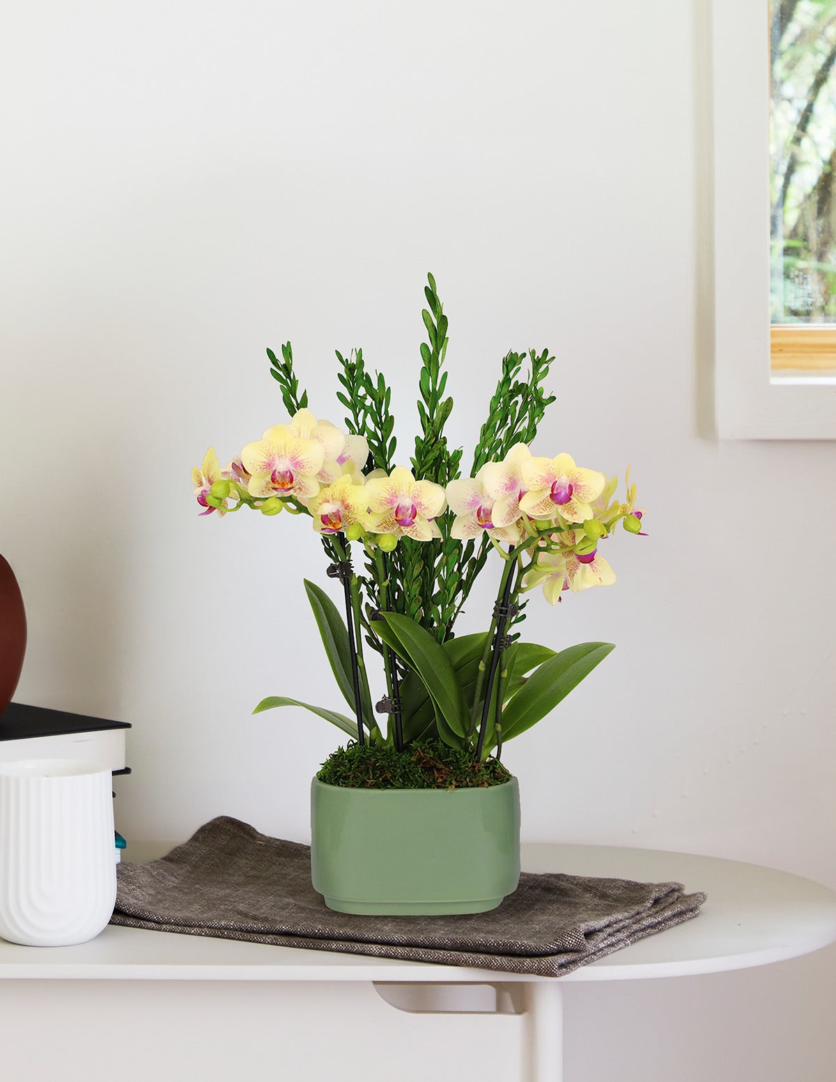 Small Double Orchid