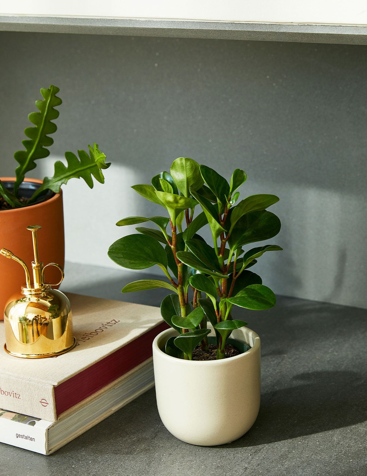 Grant Ceramic Planter