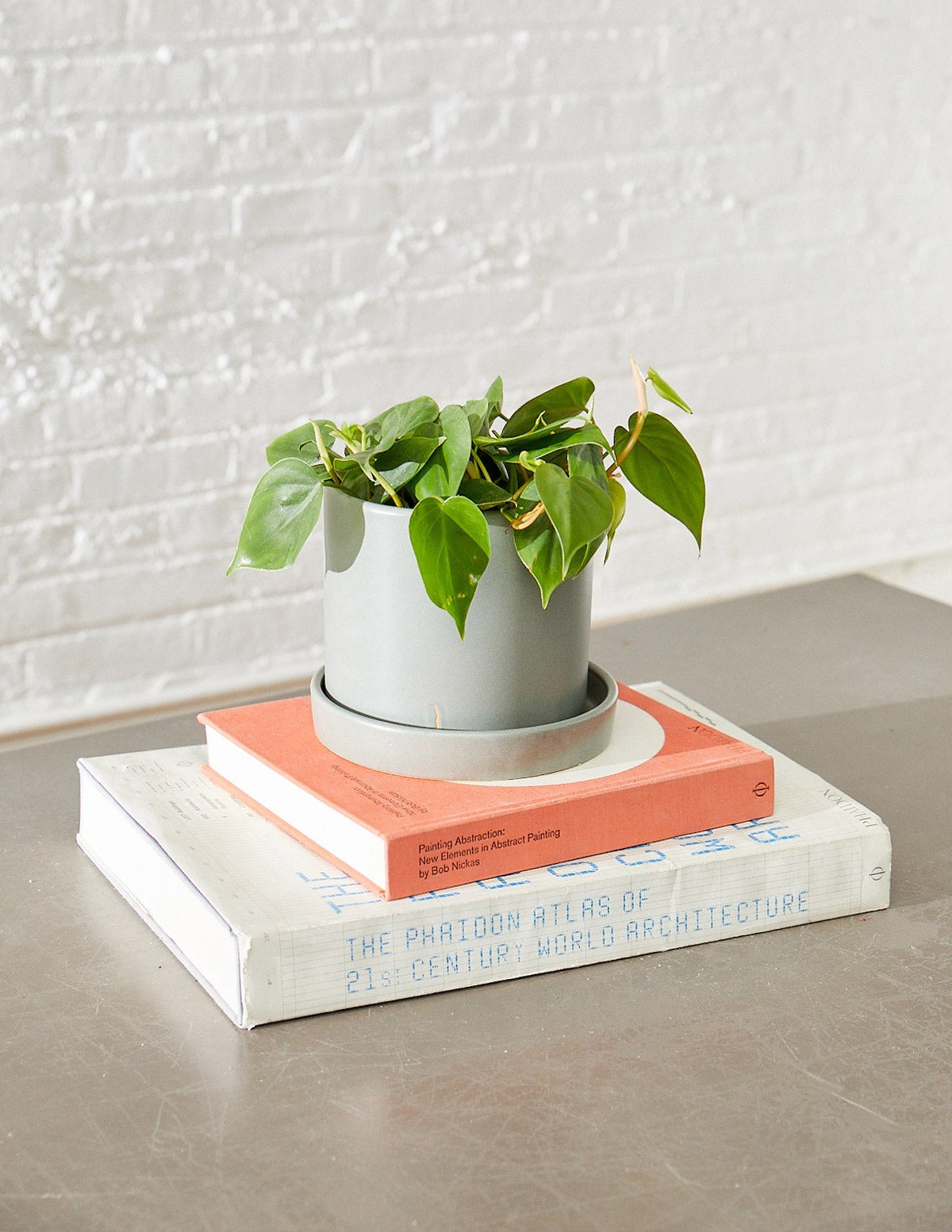 Fits your Sill: The Trailing Duo