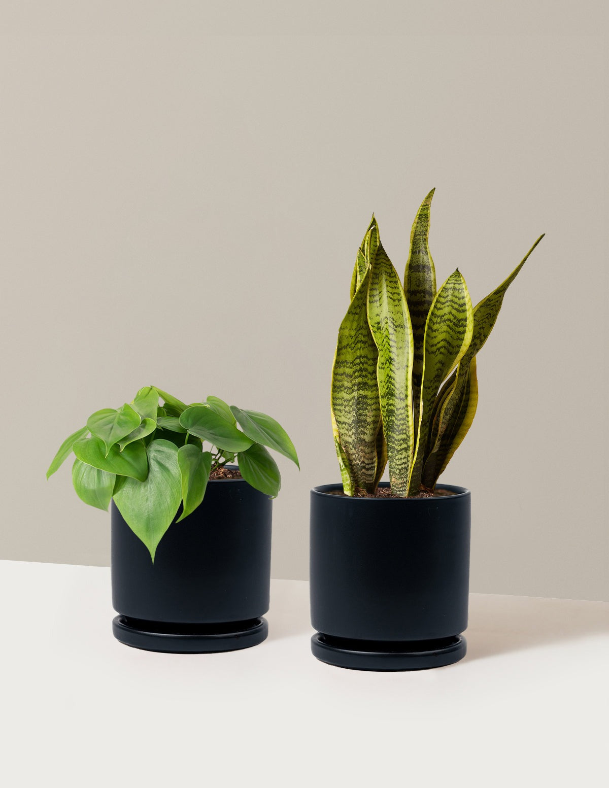 Living Room Duo