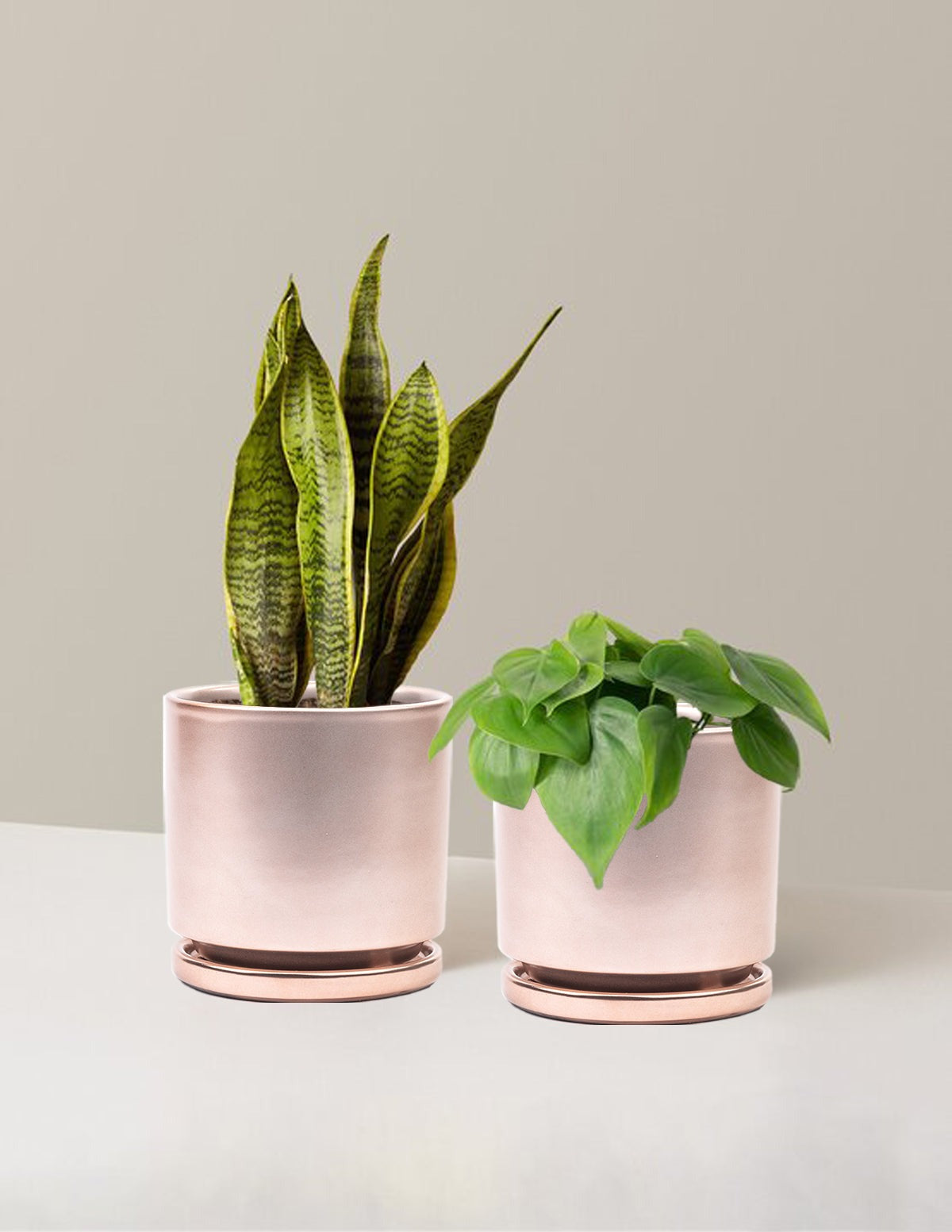 Living Room Duo