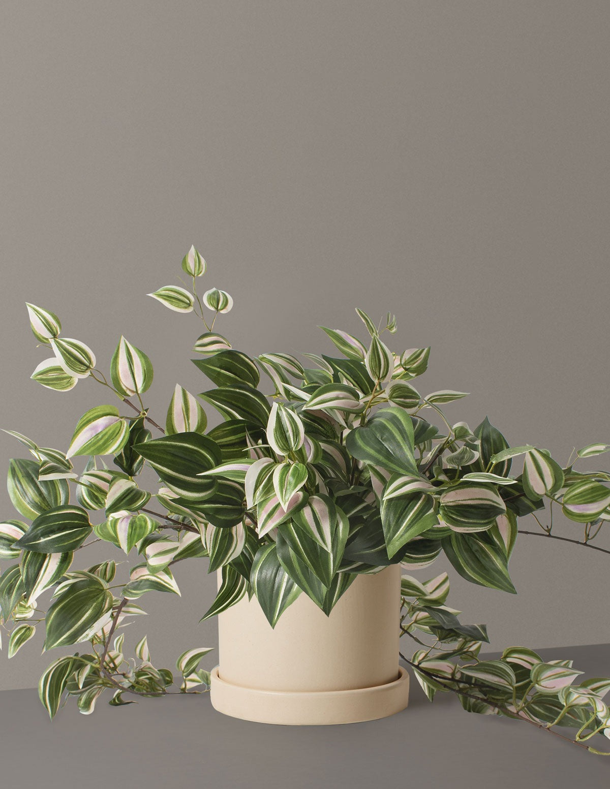 Artificial Tradescantia Zebrina