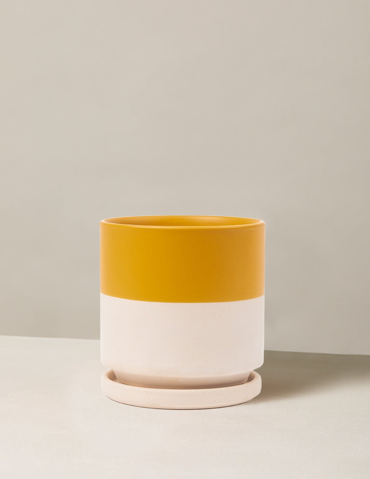 Isabella Planter (LGL)