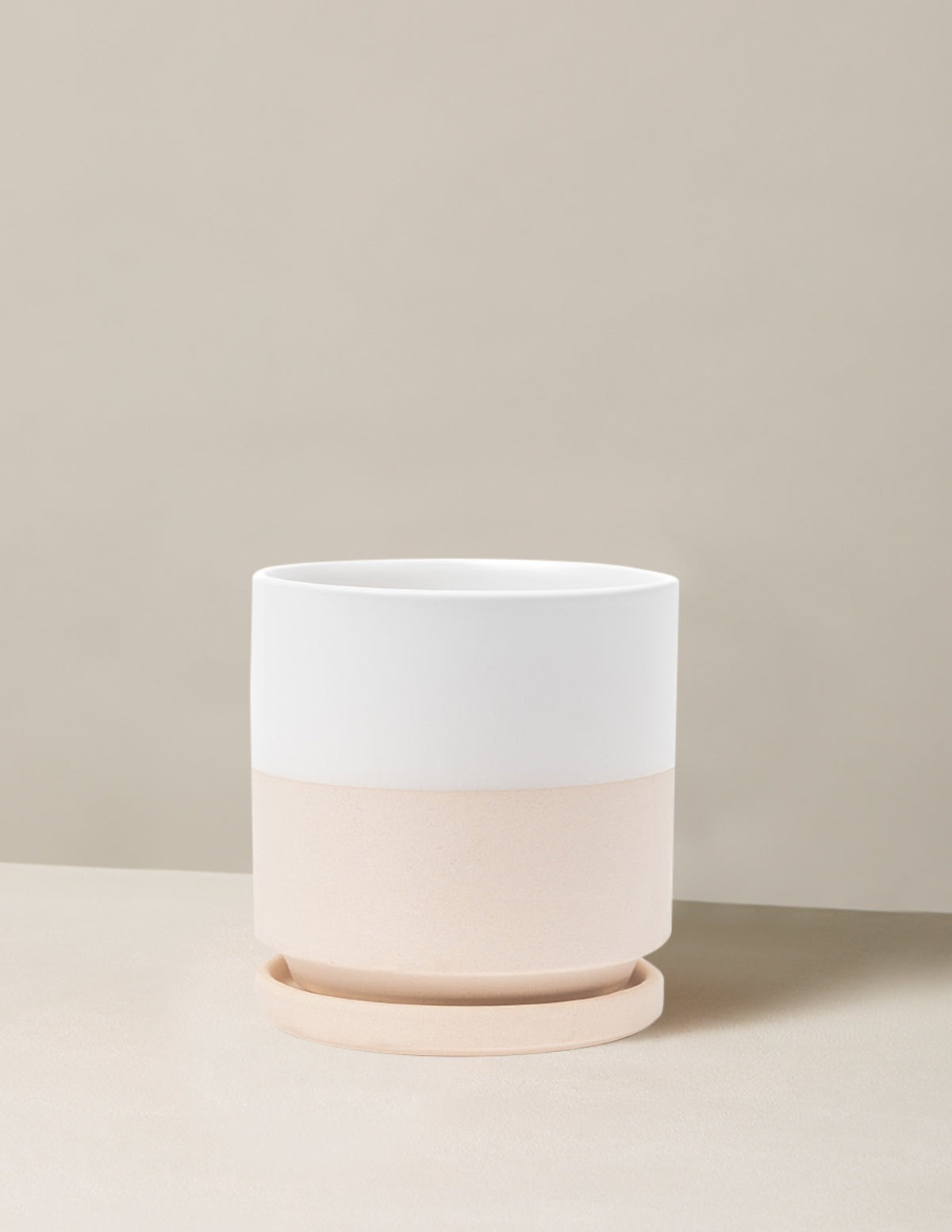 Isabella Planter (LGL)