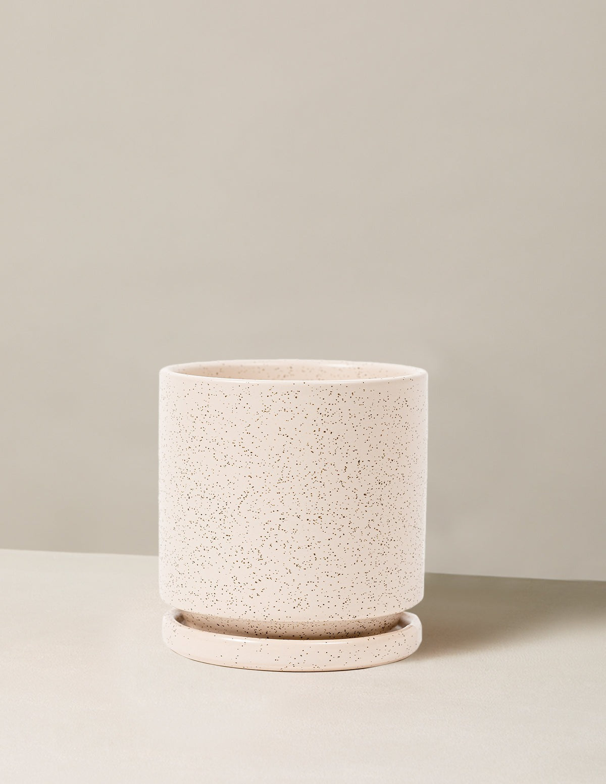 Isabella Planter (LGL)