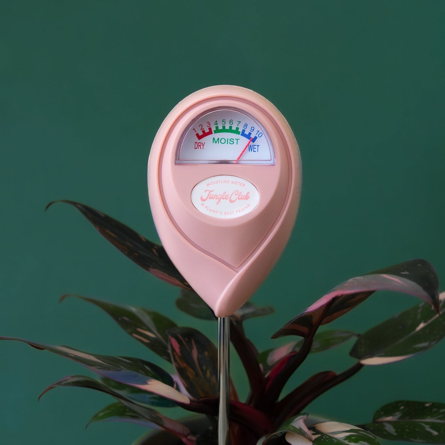 Moisture Meter