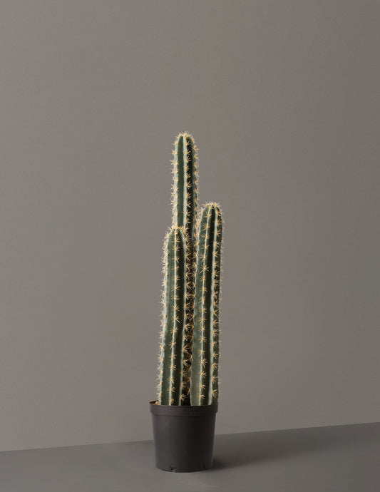 Artificial Floor Cactus