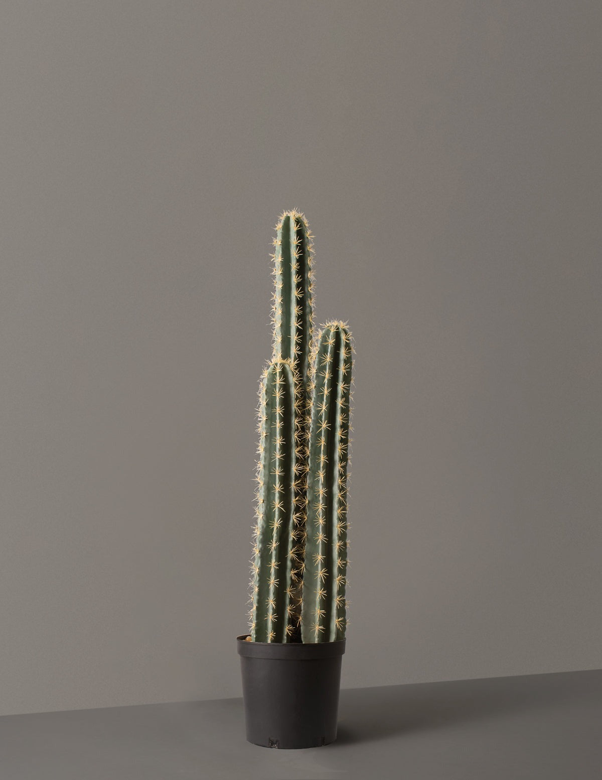 Artificial Floor Cactus