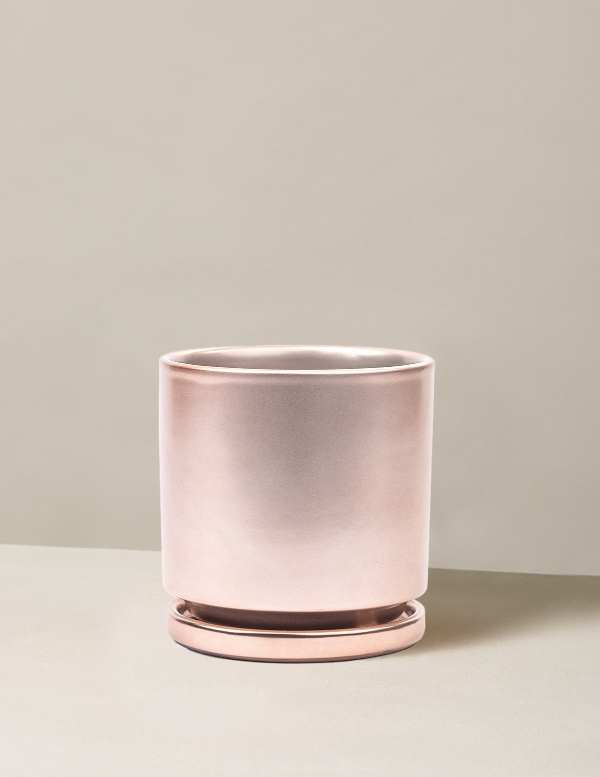 Isabella Planter (LGL)