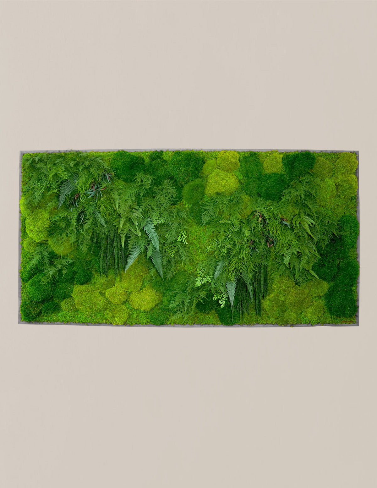 Large Preserved Living Wall