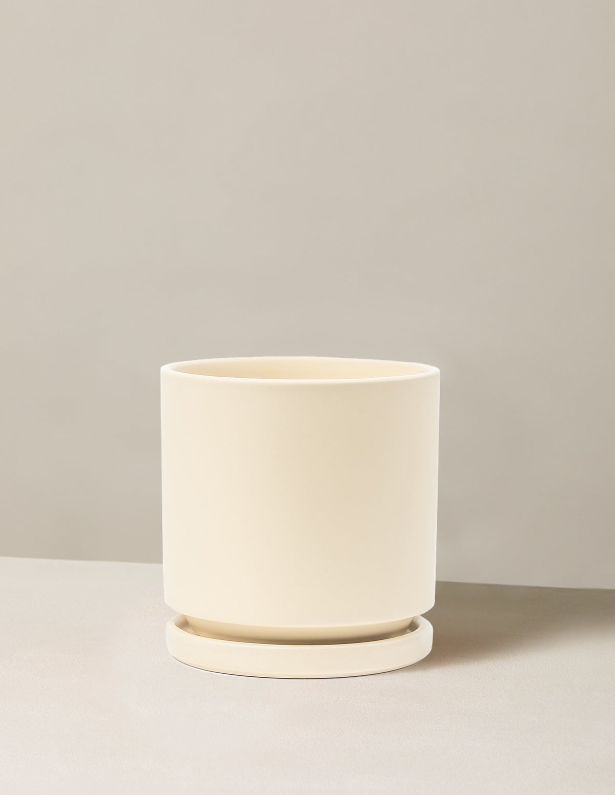 Isabella Planter (LGL)