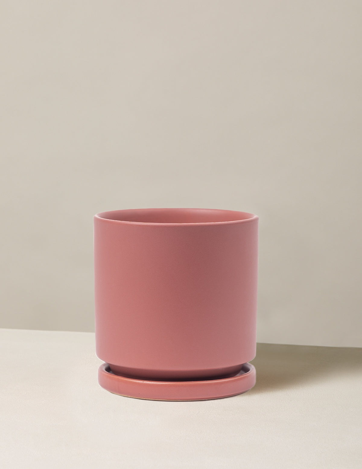 Isabella Planter (LGL)