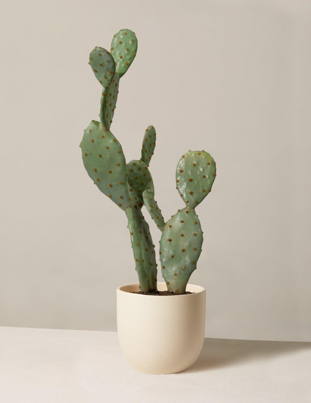 Artificial Cactus
