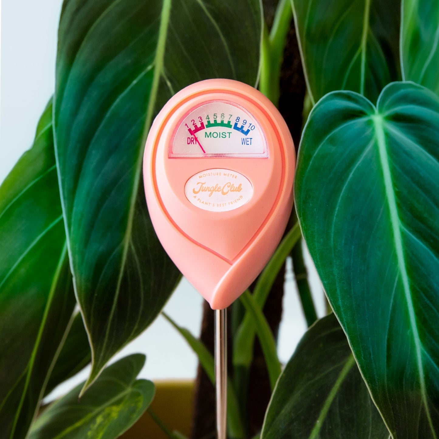 Moisture Meter (LGL)