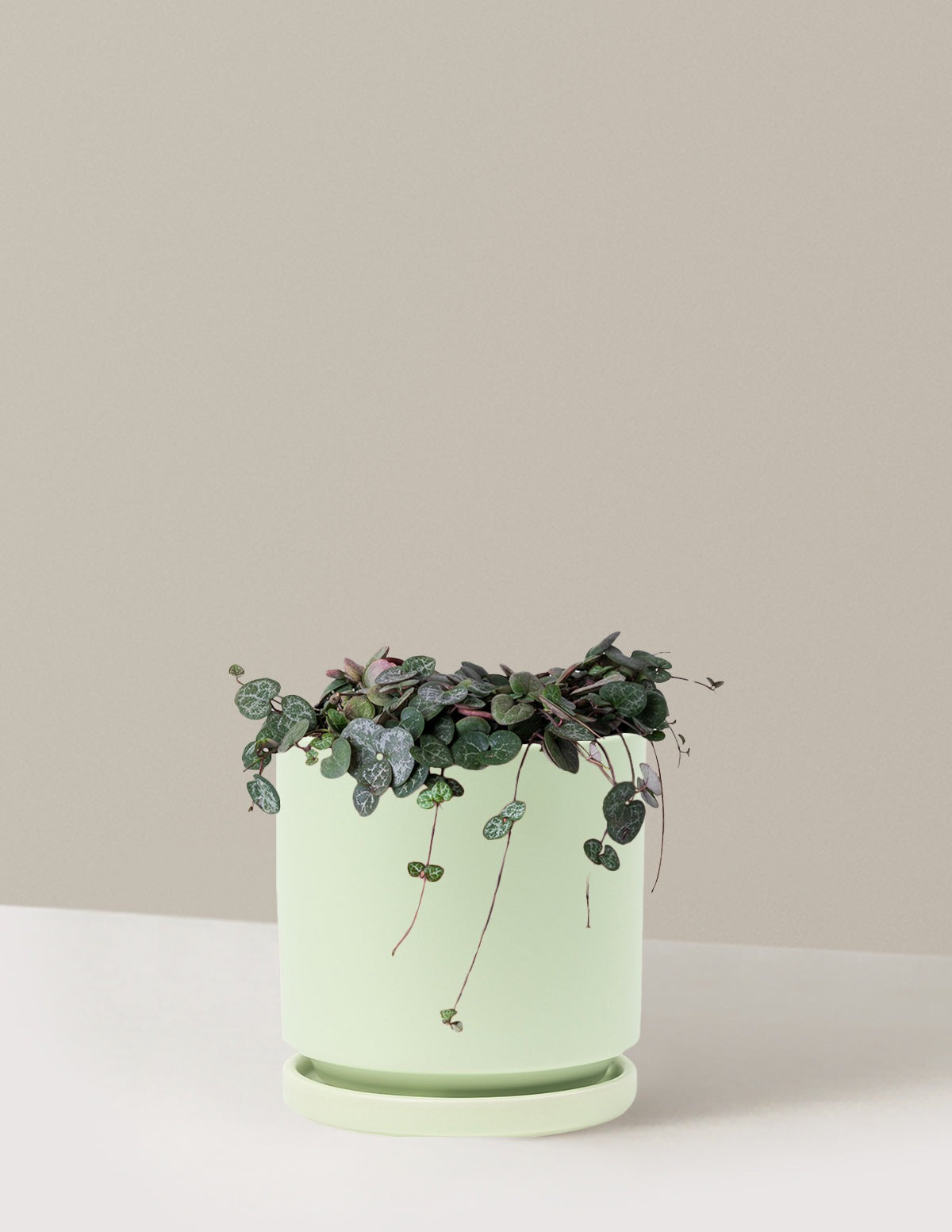 String of Hearts