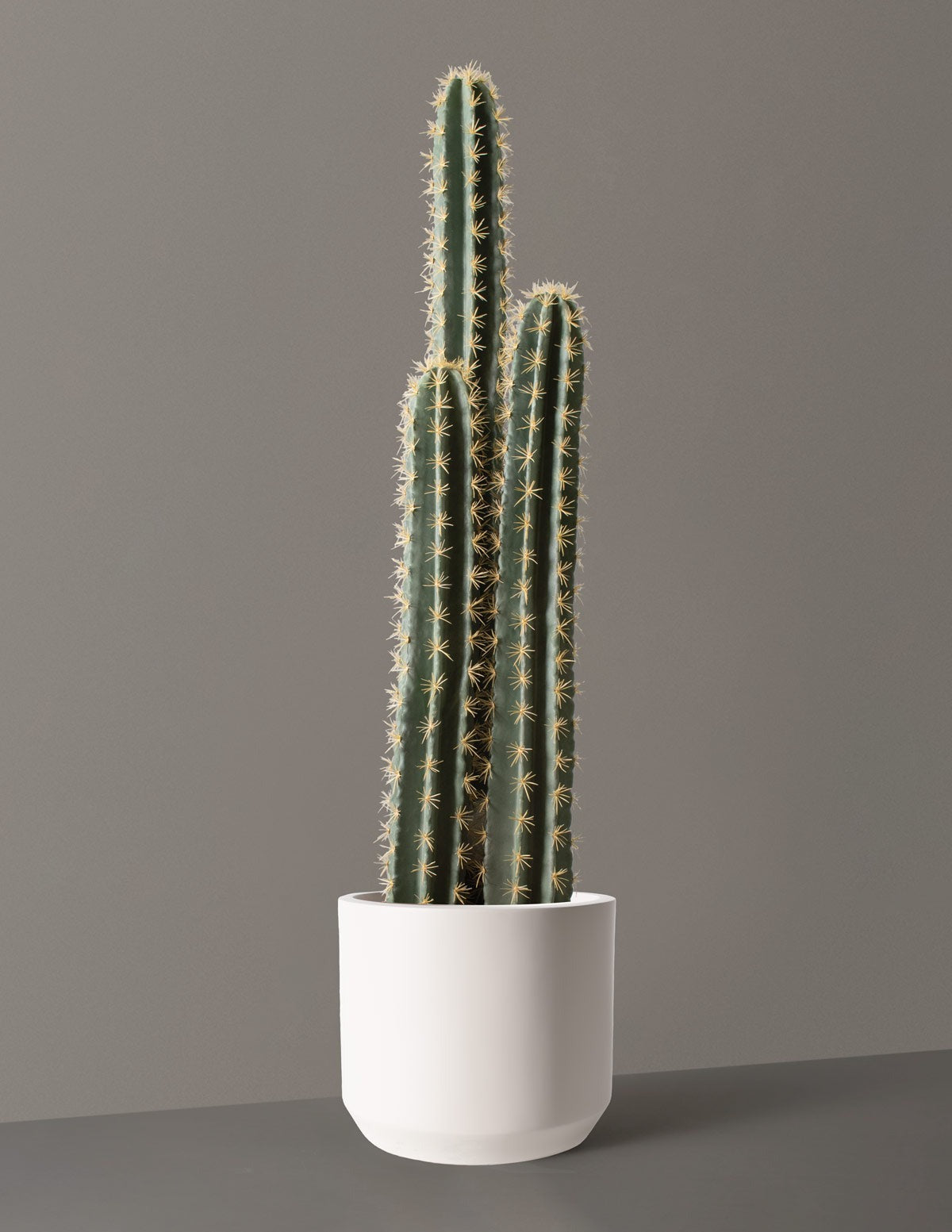 Artificial Floor Cactus