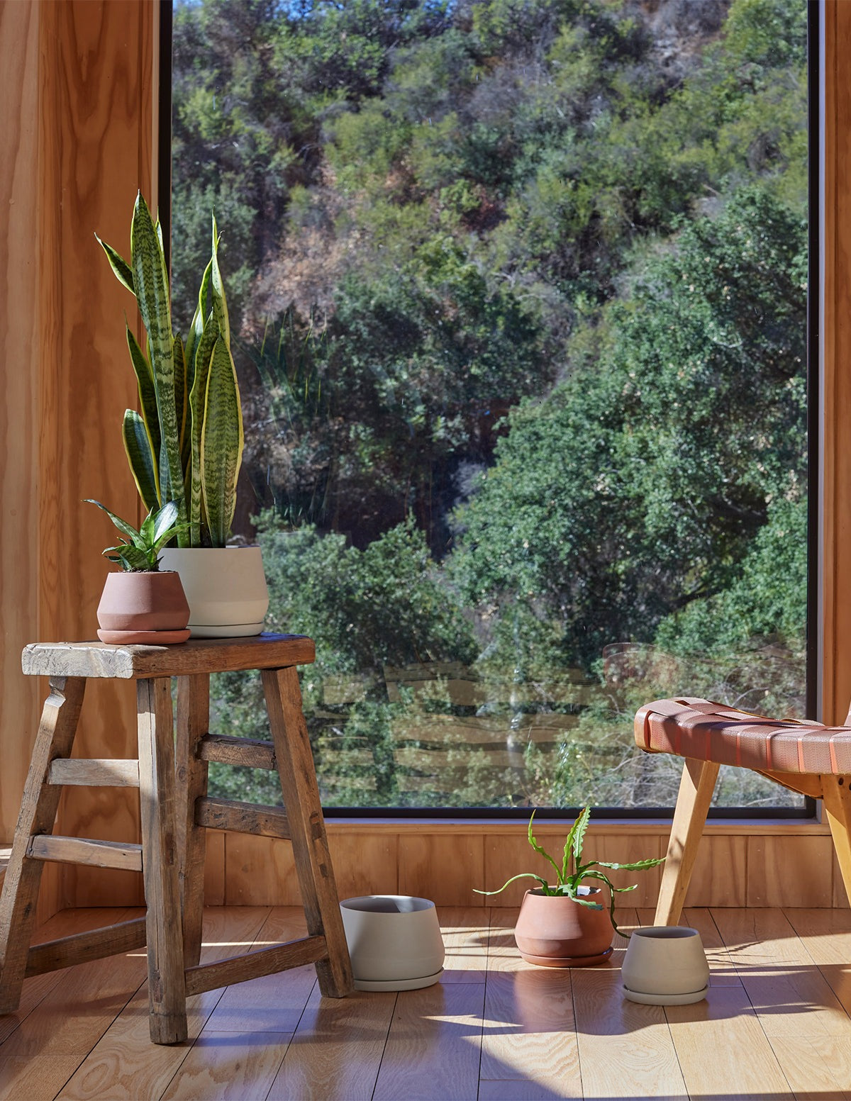 The Rancho Planter