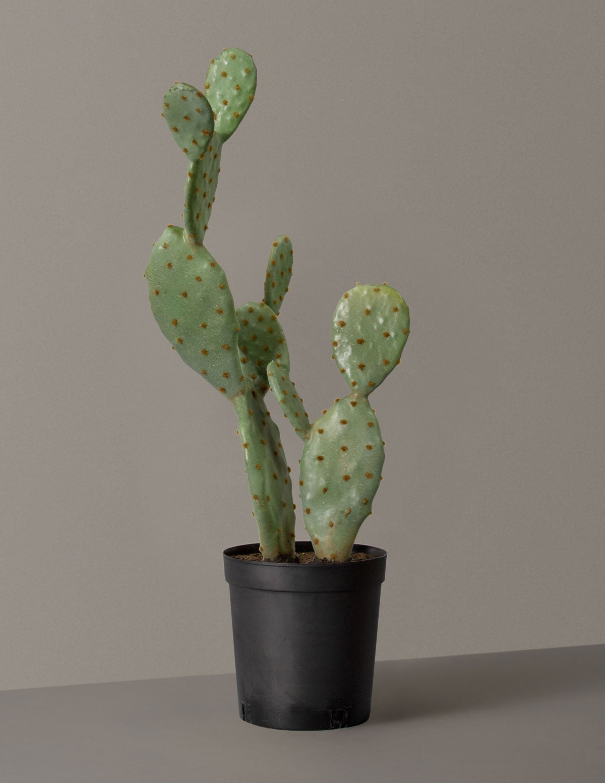 Artificial Cactus