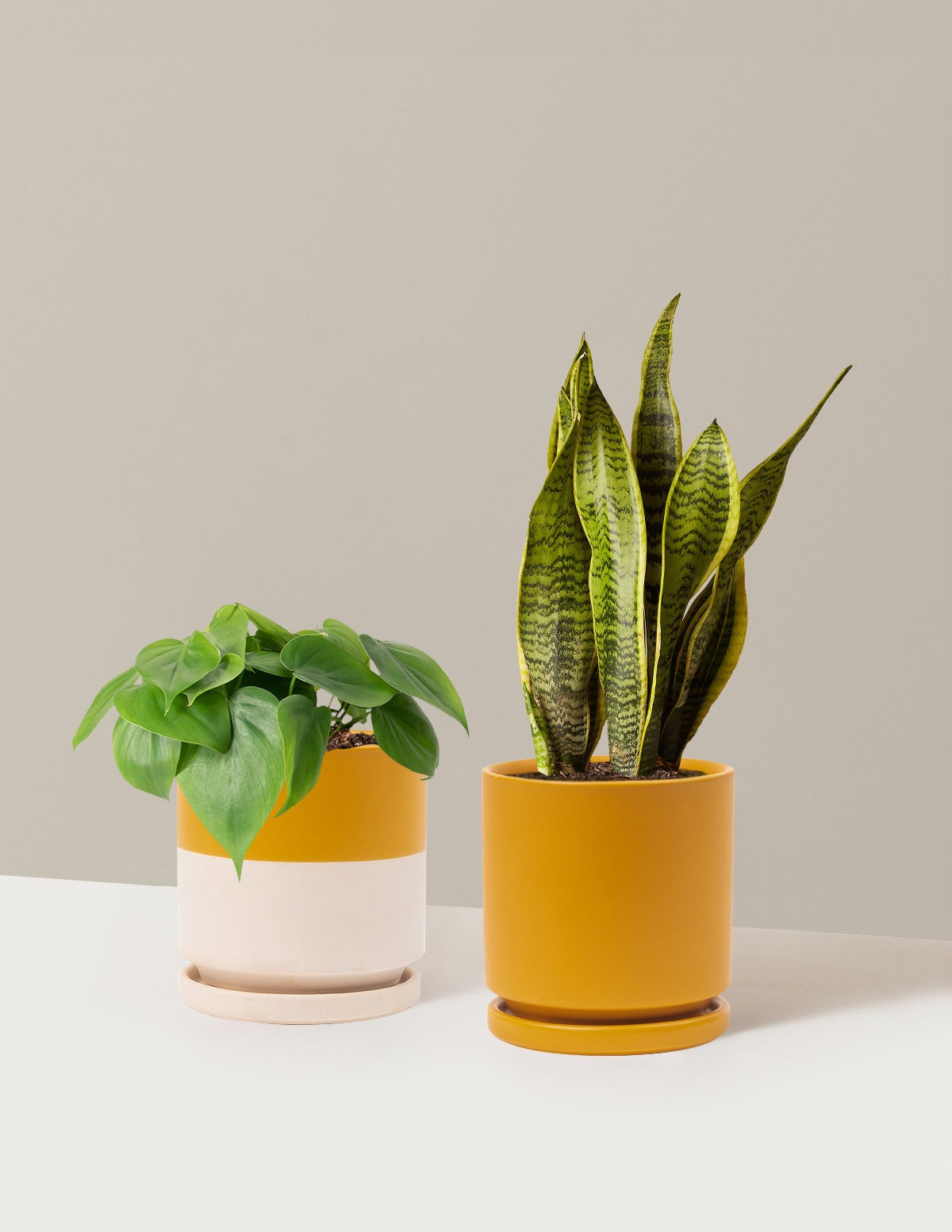 Living Room Duo