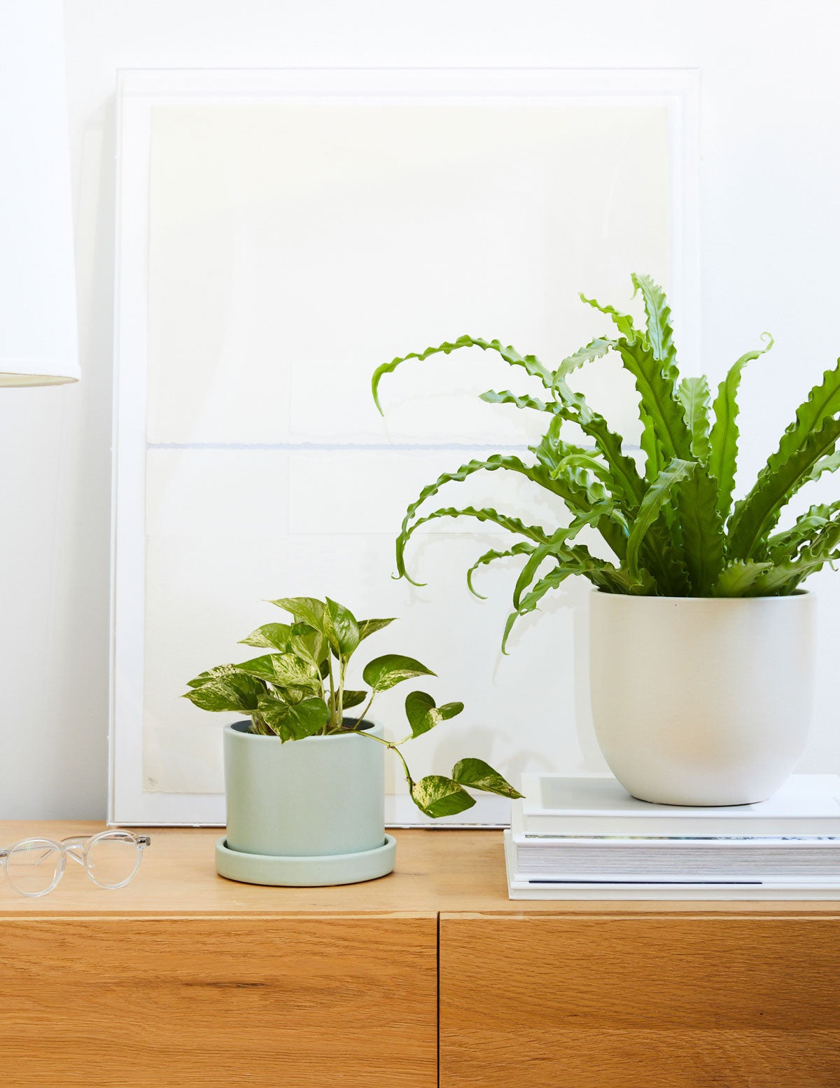 Fits your Sill: The Trailing Duo