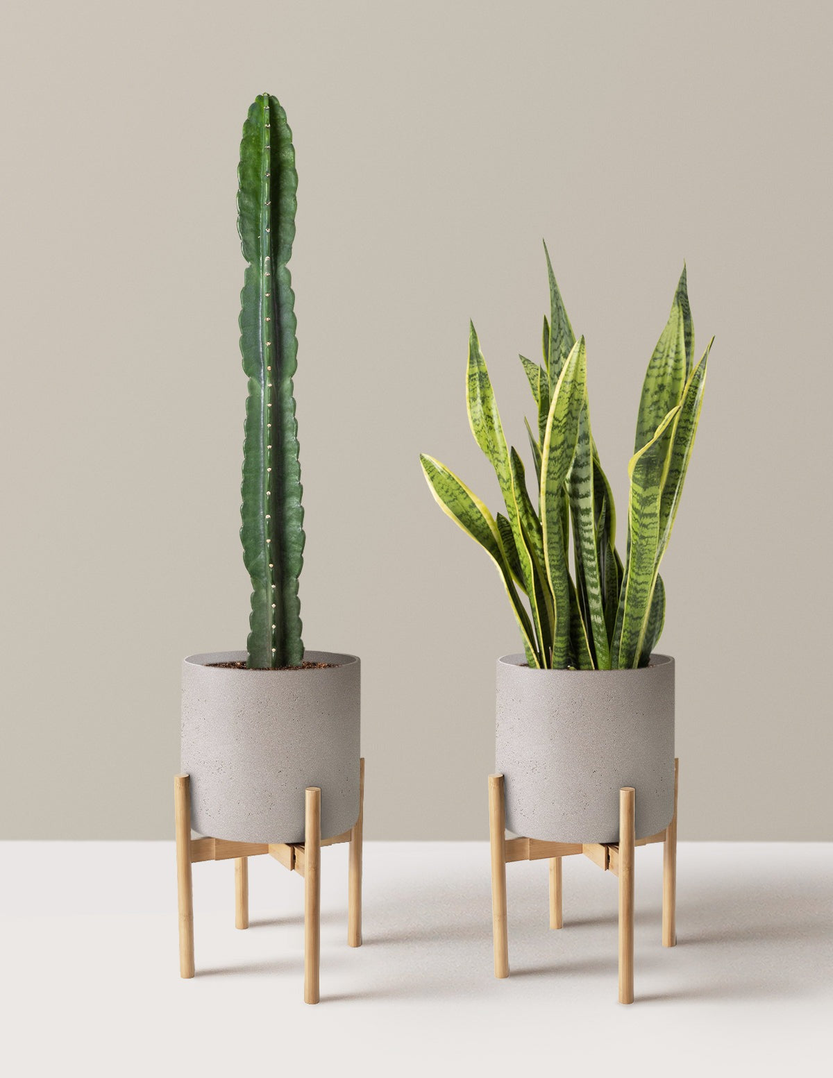Large Set & Forget Duo