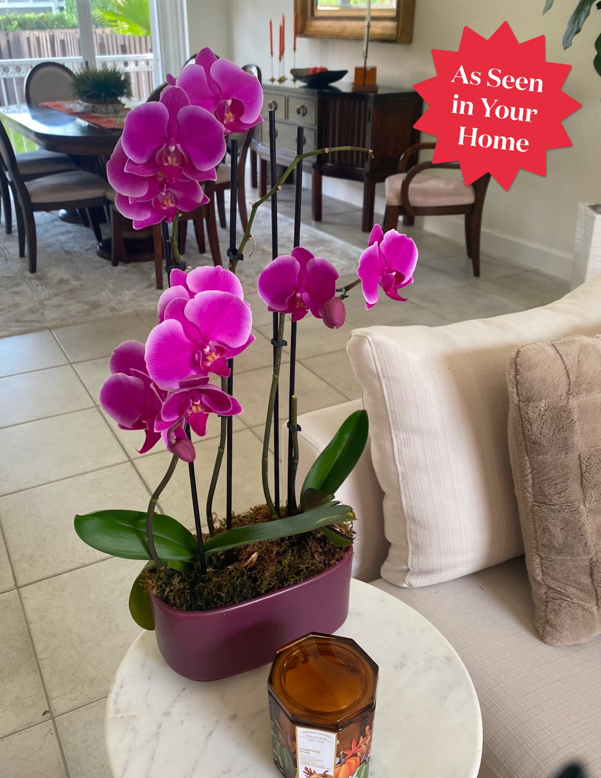 Large Double Orchid