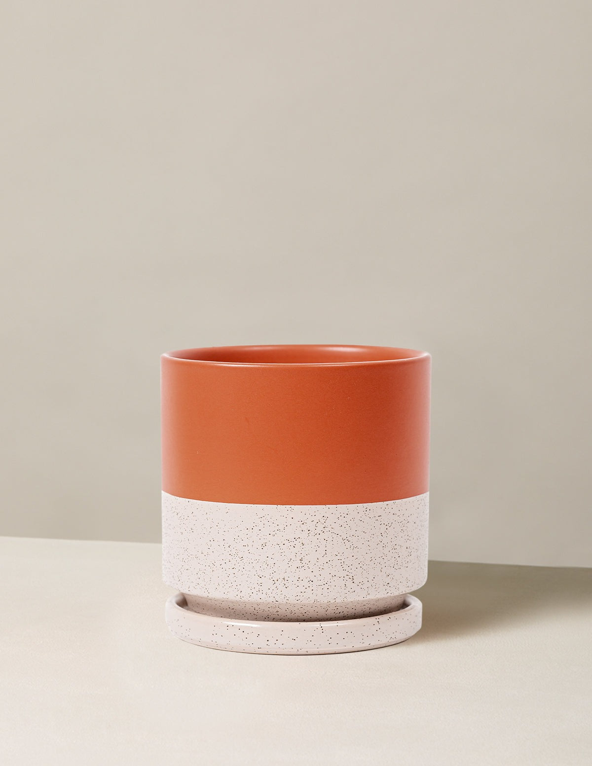 Isabella Planter (LGL)