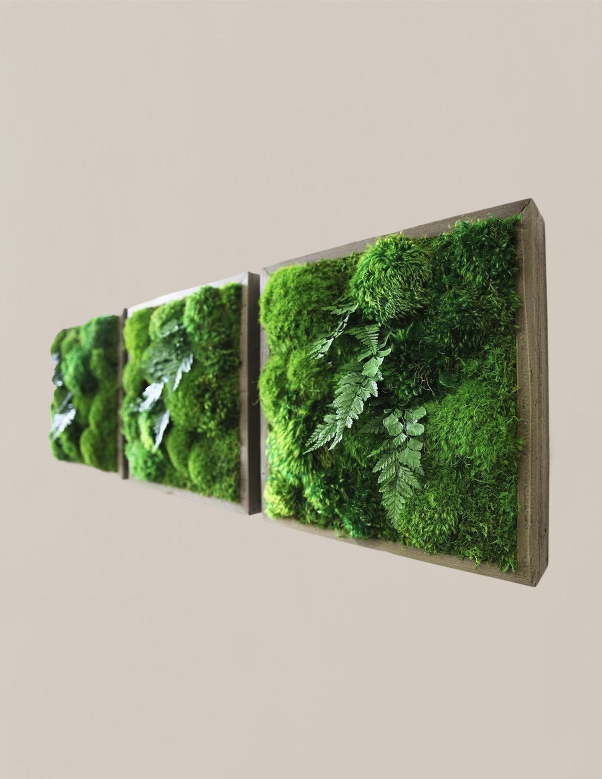 Small Preserved Living Wall