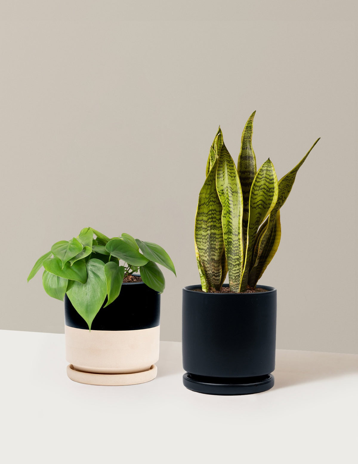 Living Room Duo