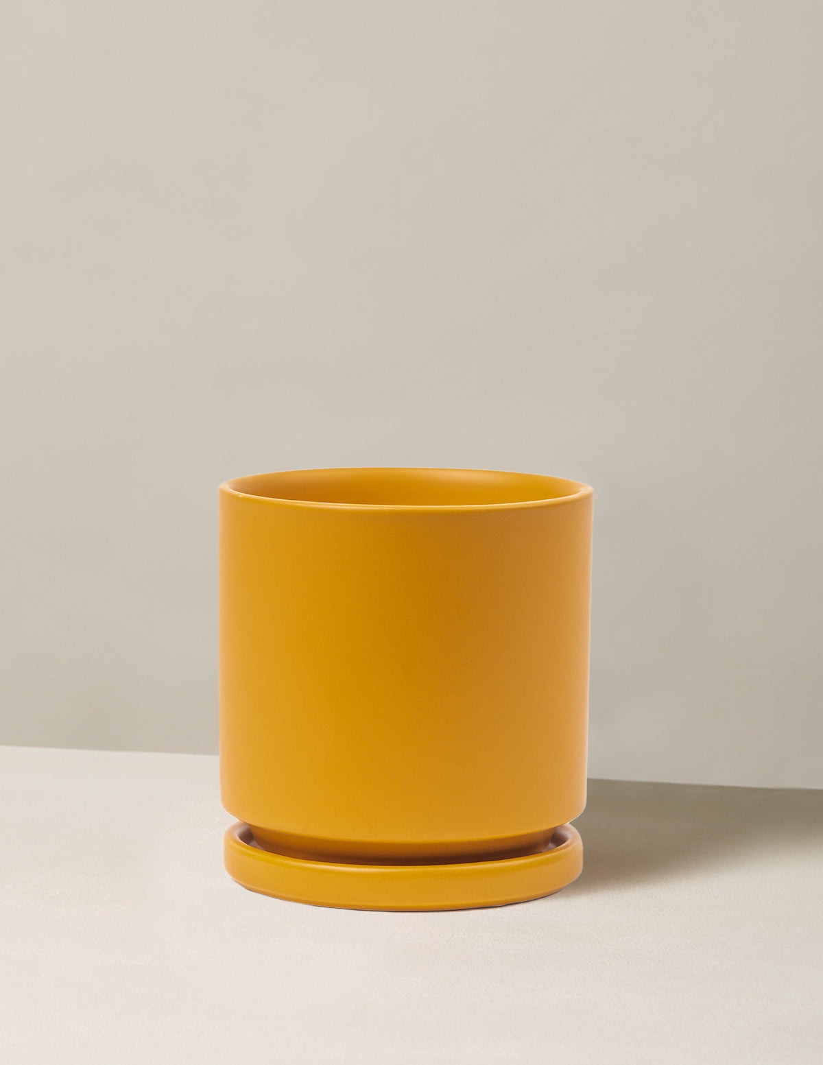 Isabella Planter (LGL)