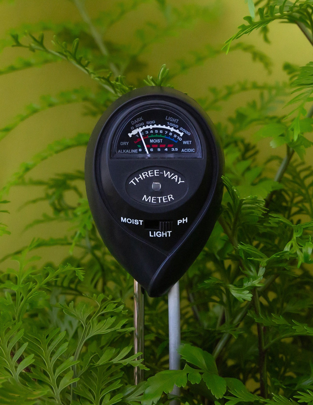 Moisture Meter (LGL)