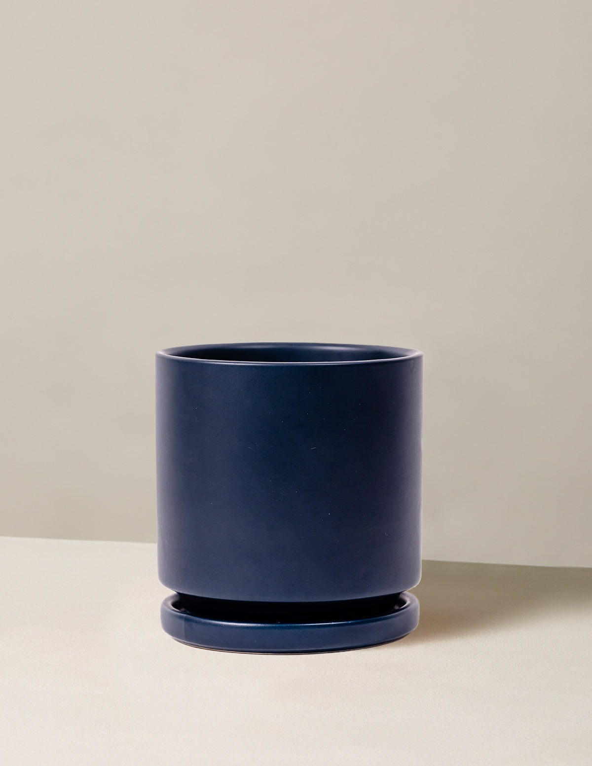 Isabella Planter (LGL)