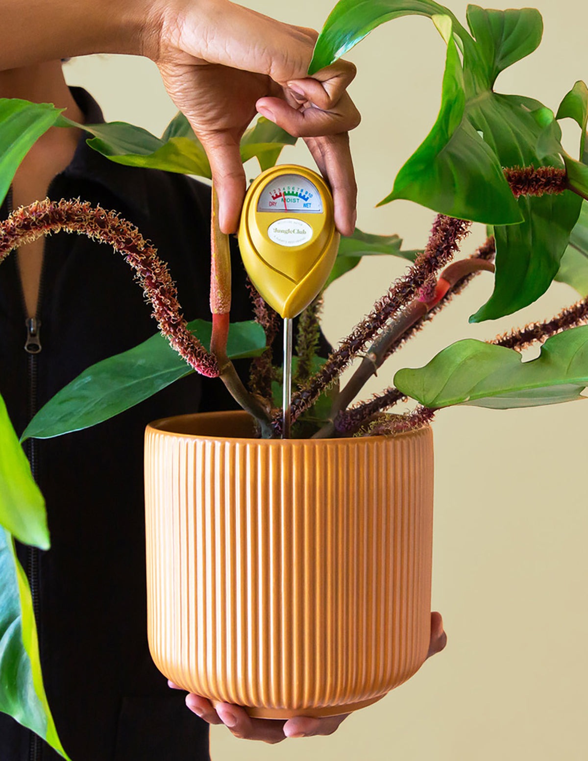 Moisture Meter