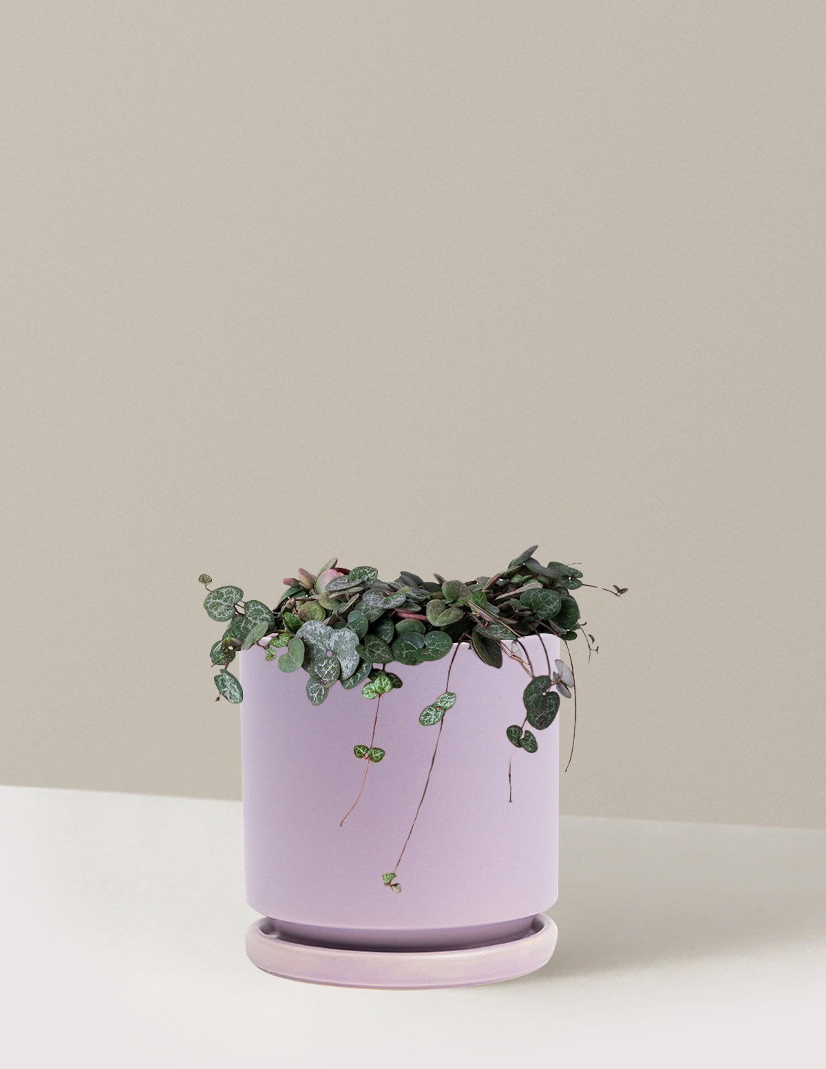 String of Hearts
