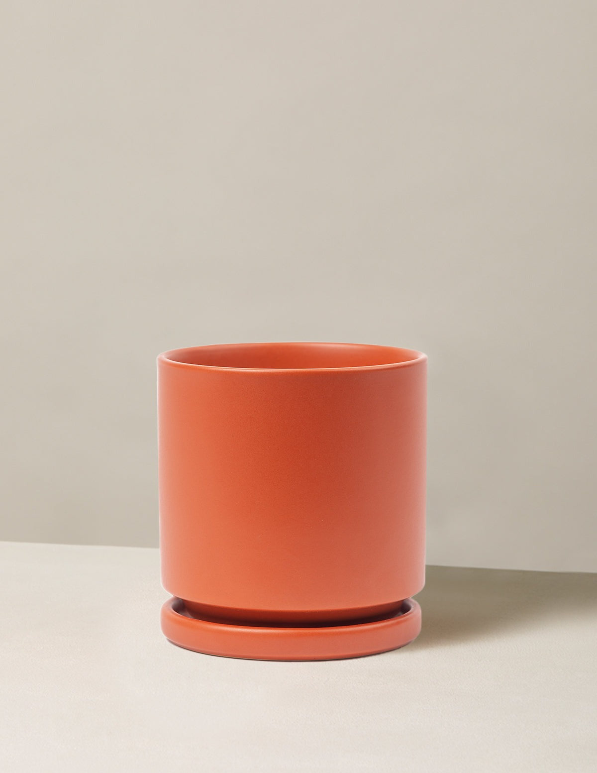 Isabella Planter (LGL)