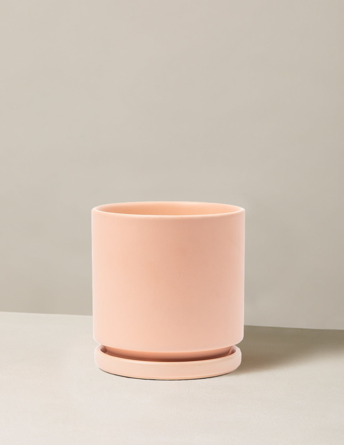 Isabella Planter (LGL)