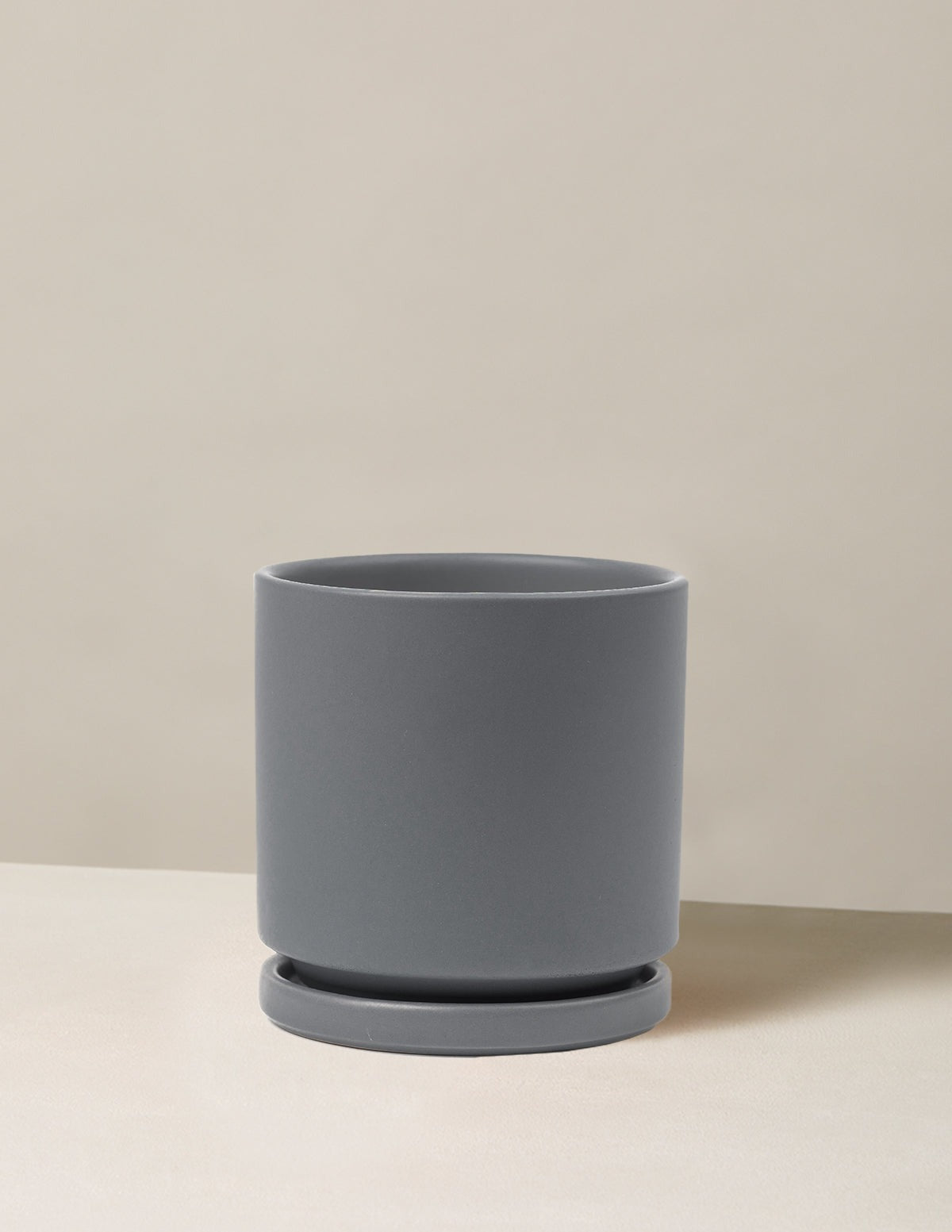 Isabella Planter (LGL)