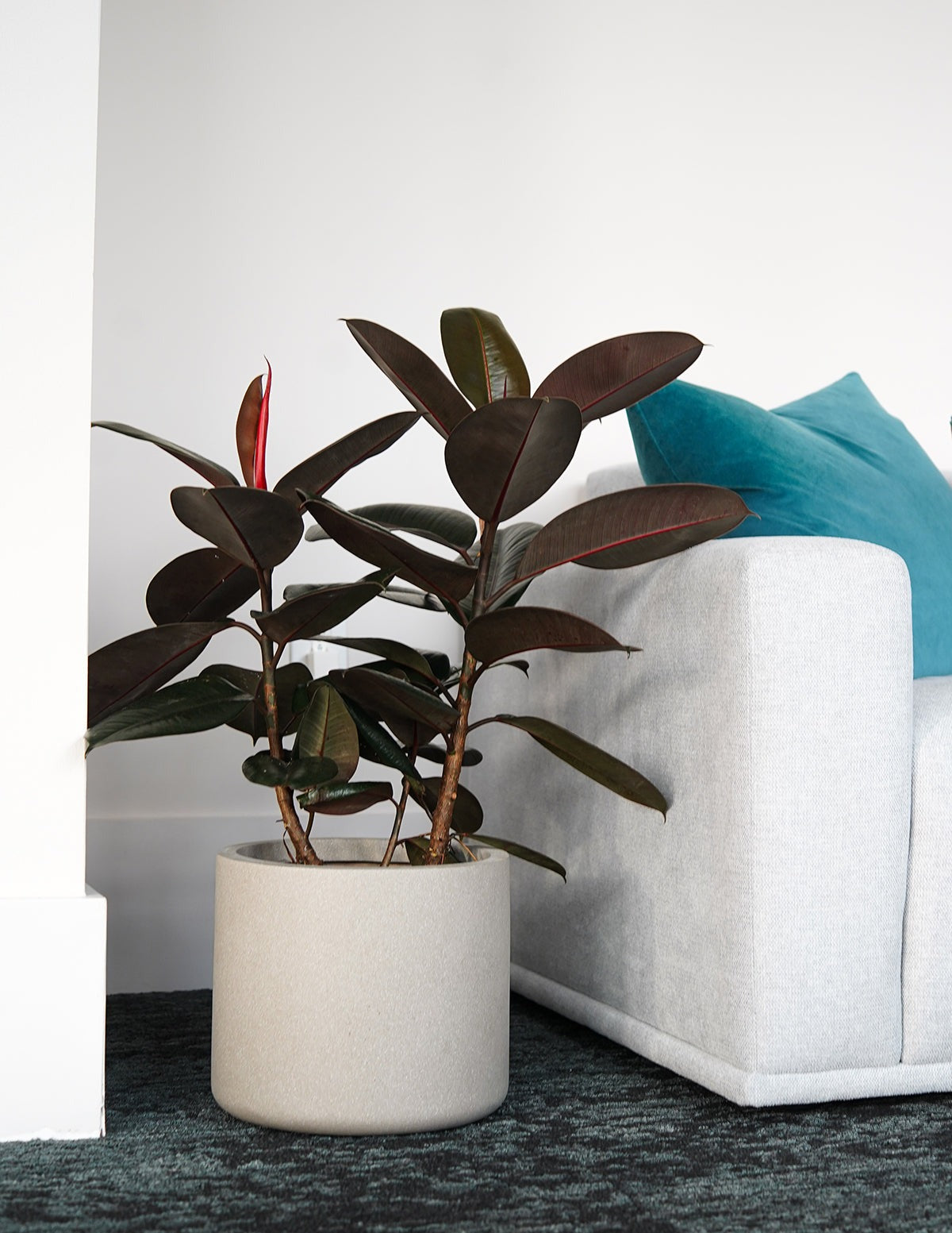 Agnes Planter