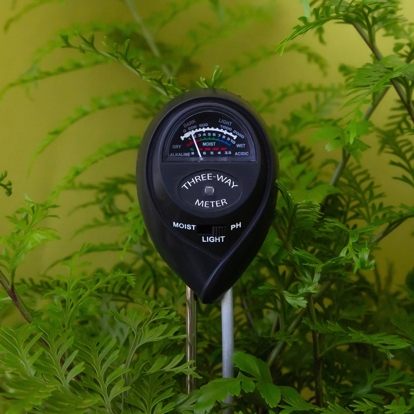 Moisture Meter (LGL)