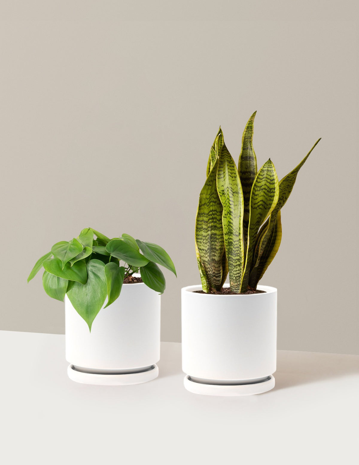 Living Room Duo