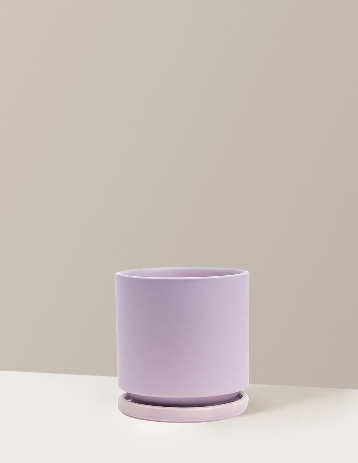 Isabella Planter (LGL)