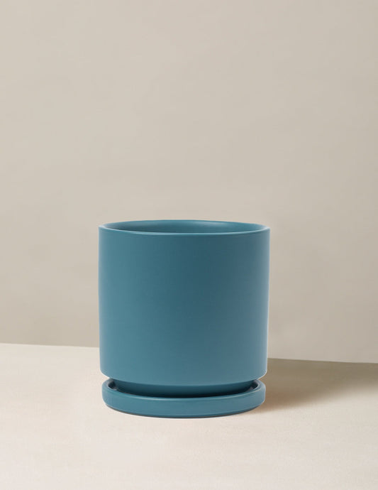 Isabella Planter (LGL)