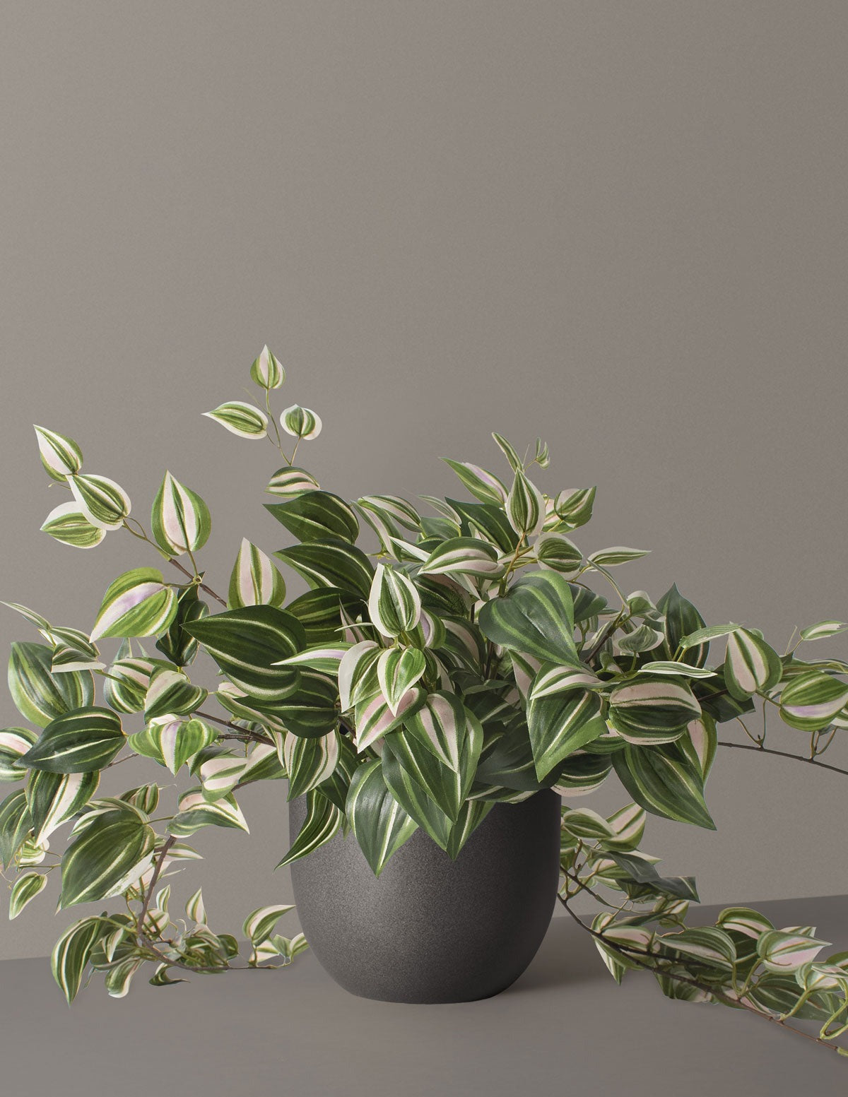 Artificial Tradescantia Zebrina
