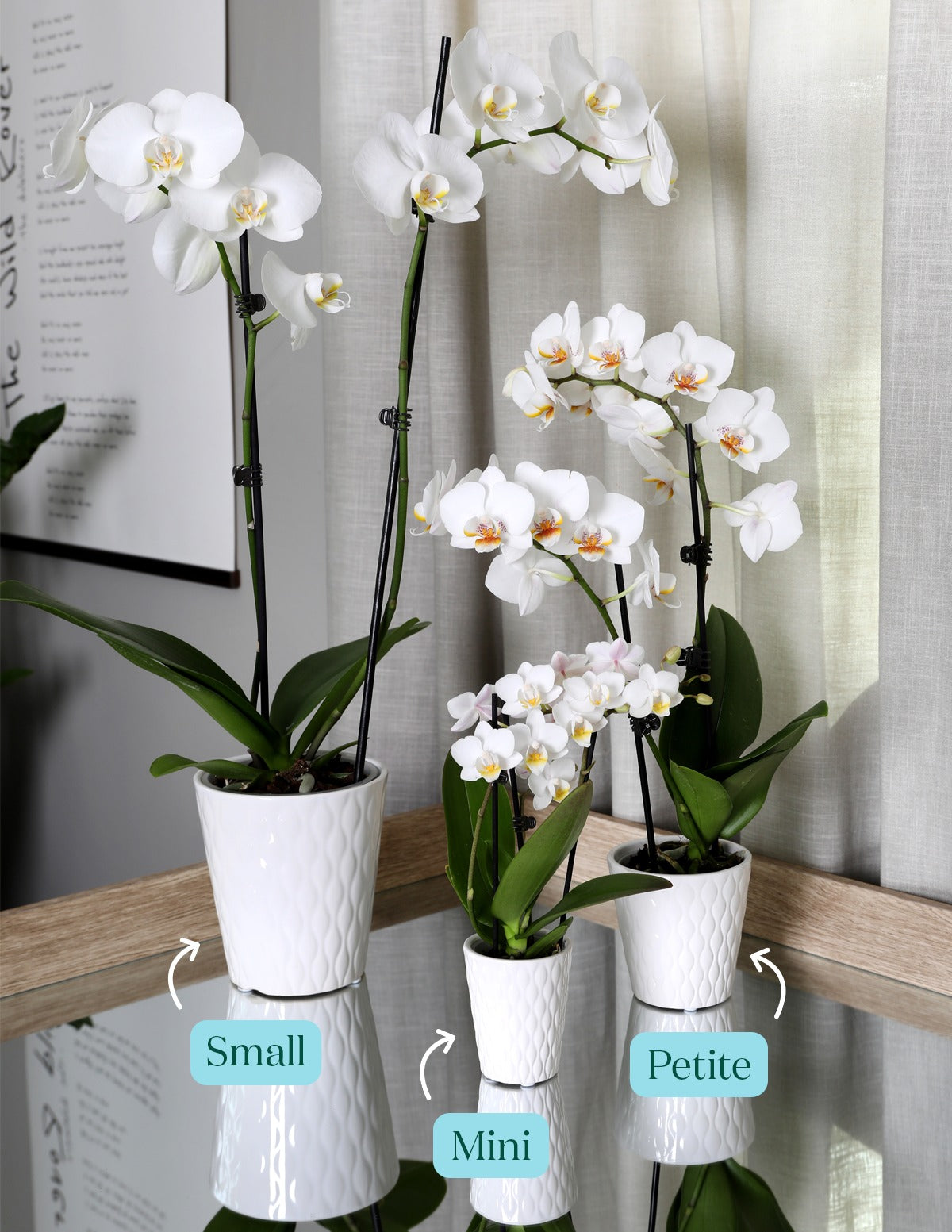 Watercolor Orchid Party Pack