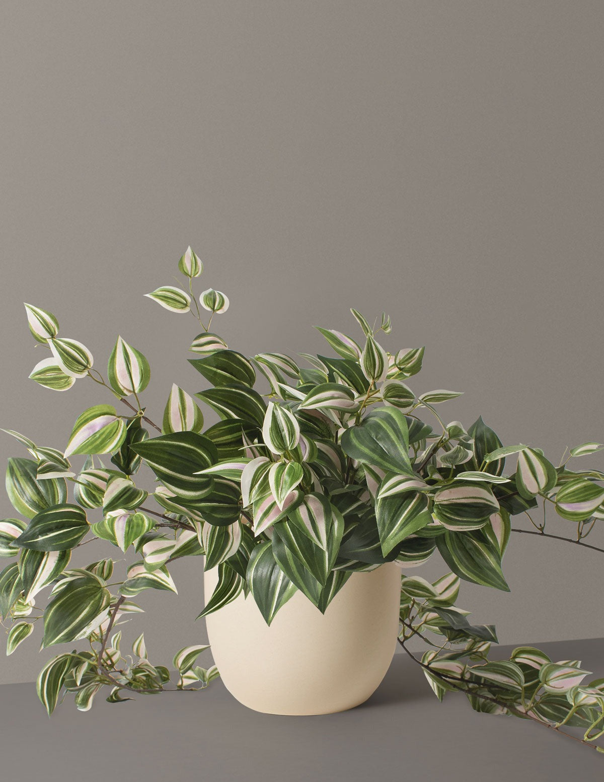 Artificial Tradescantia Zebrina