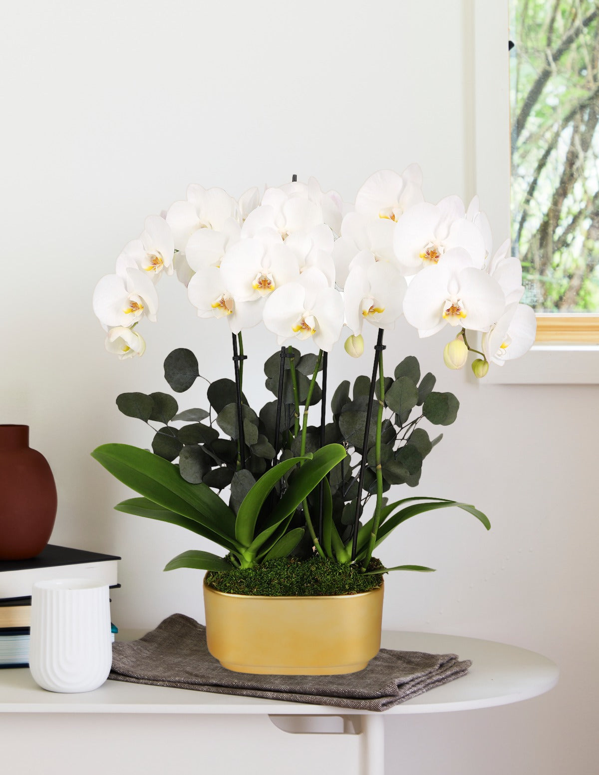 Large Double Orchid
