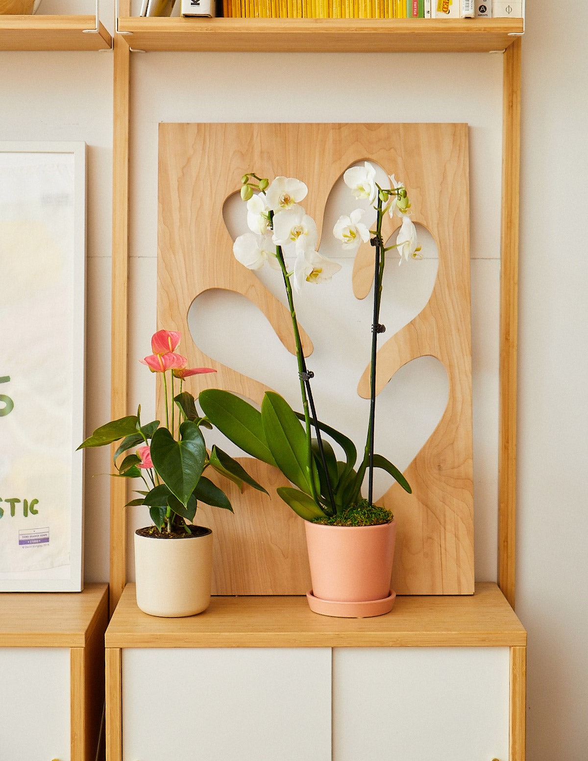 Orchid Confetti Party Pack