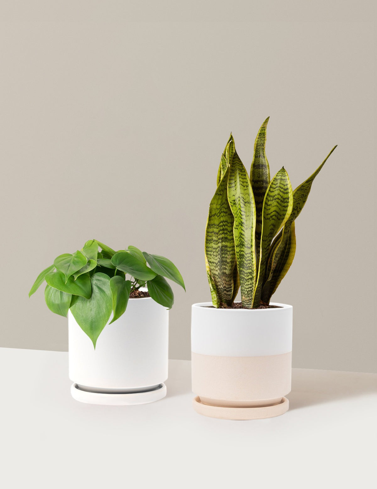 Living Room Duo