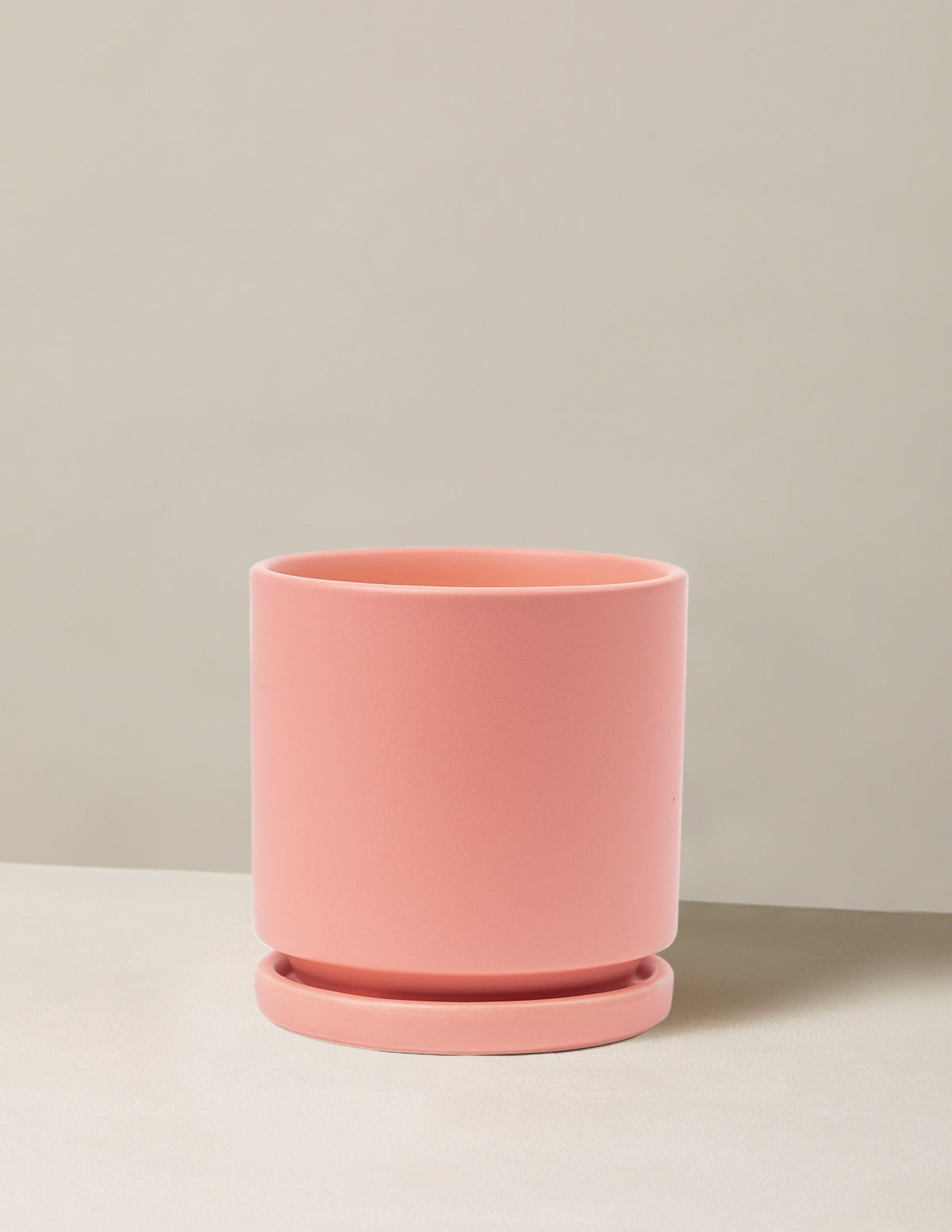 Isabella Planter (LGL)
